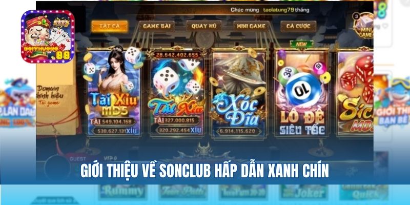 Giới thiệu về Sonclub hấp dẫn xanh chín